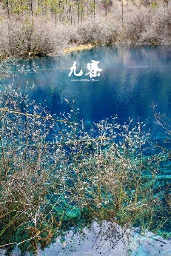 巫师3狂猎