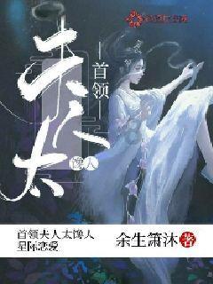 数码宝贝8